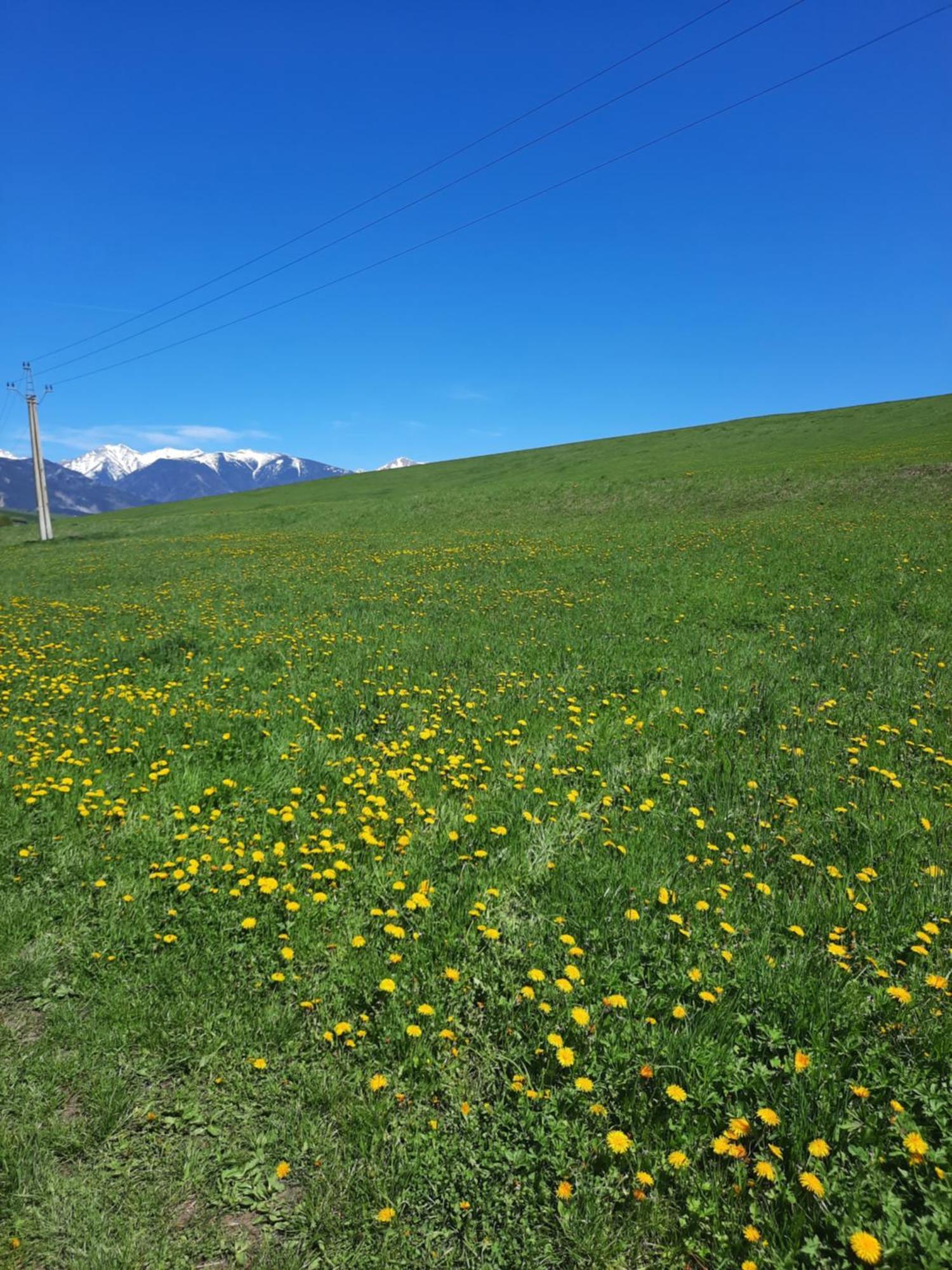 Domceky Holiday Liptovský Trnovec Dış mekan fotoğraf